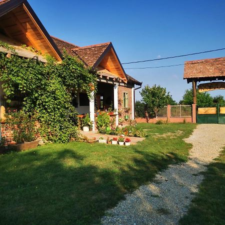 Amanet House Zasavica 아파트 외부 사진