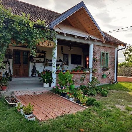 Amanet House Zasavica 아파트 외부 사진