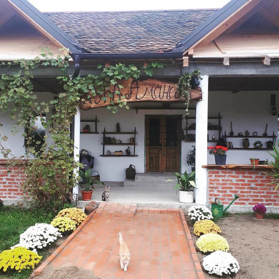 Amanet House Zasavica 아파트 외부 사진