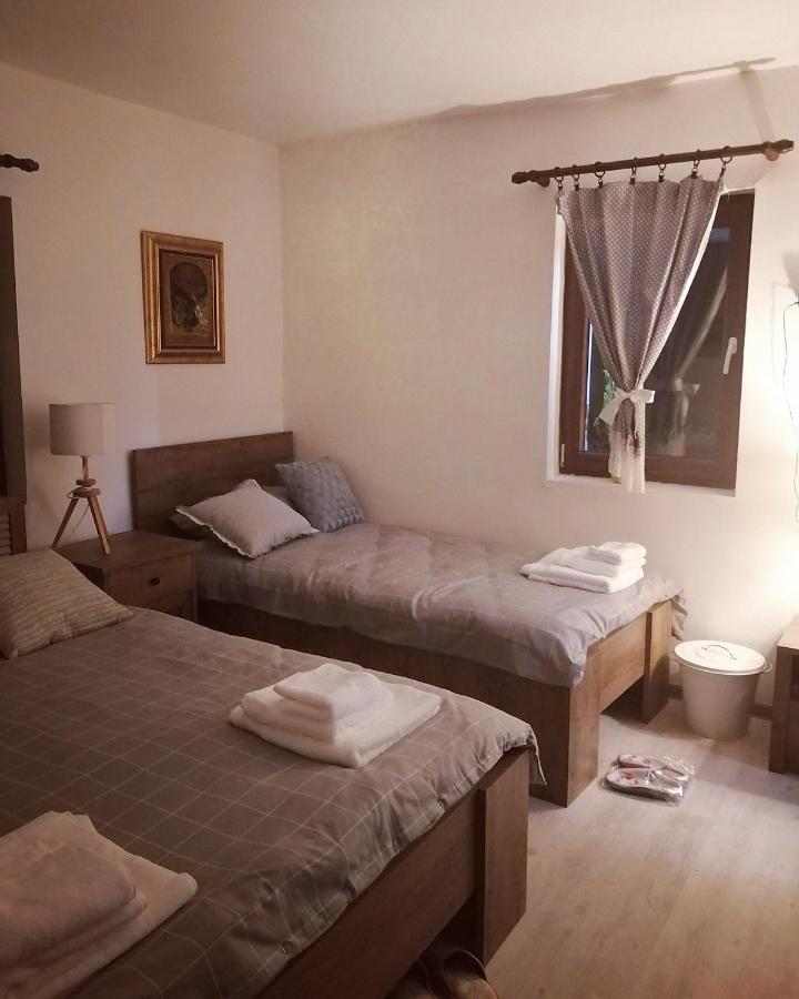 Amanet House Zasavica 아파트 외부 사진