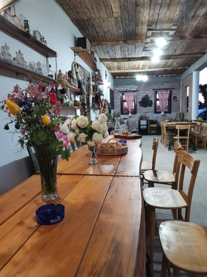 Amanet House Zasavica 아파트 외부 사진