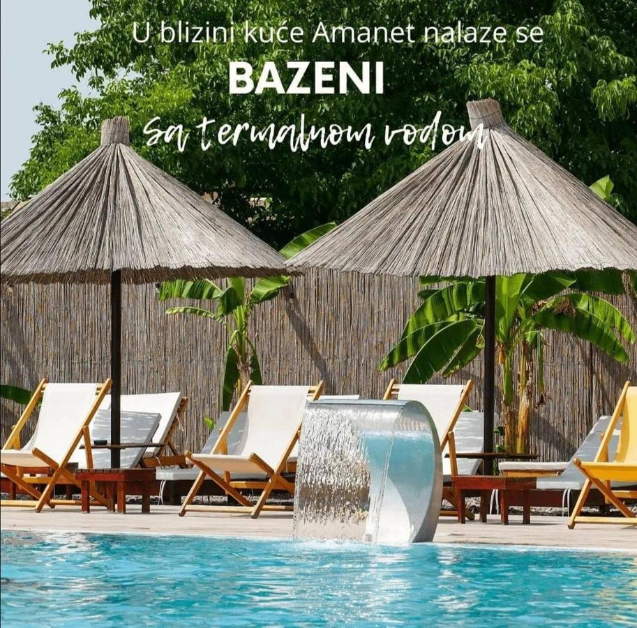 Amanet House Zasavica 아파트 외부 사진