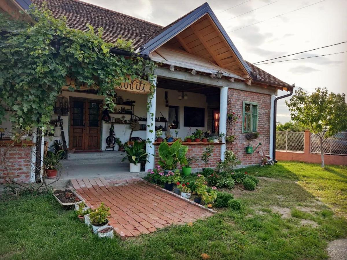 Amanet House Zasavica 아파트 외부 사진