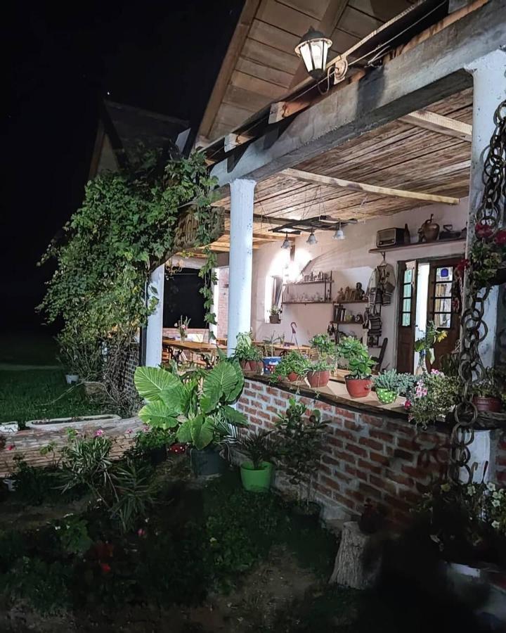 Amanet House Zasavica 아파트 외부 사진