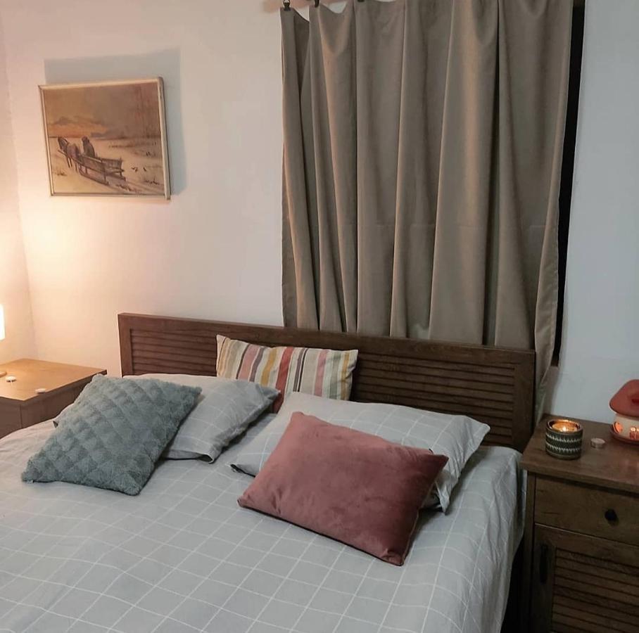 Amanet House Zasavica 아파트 외부 사진