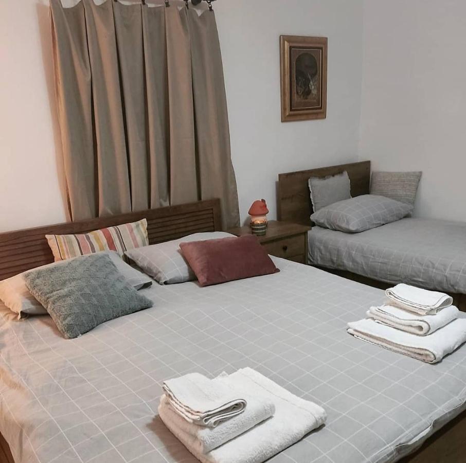 Amanet House Zasavica 아파트 외부 사진