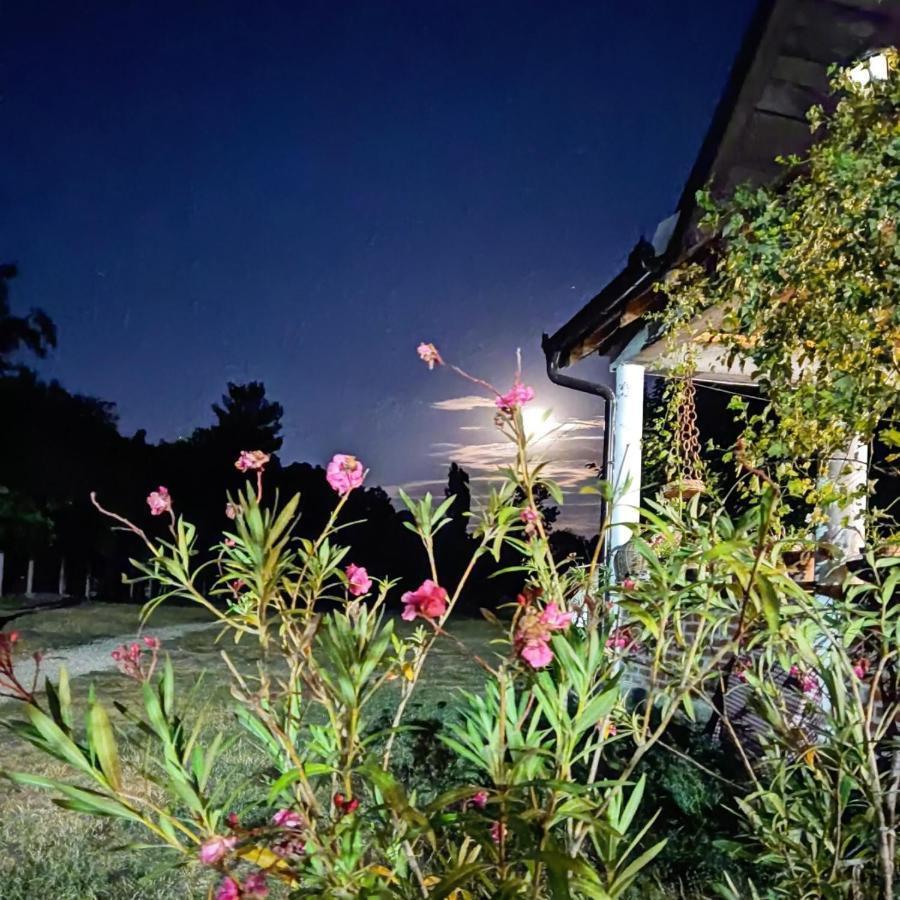 Amanet House Zasavica 아파트 외부 사진